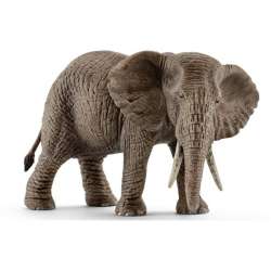 Schleich samica słonia afrykańskiego (14761) - 2