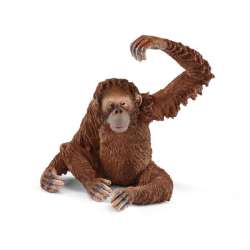 Schleich 14775 Orangutan samica (SLH 14775) - 1