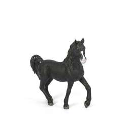 Schleich 72134 Ogier rasy arabskiej (SLH 72134) - 1