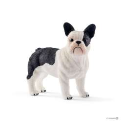 Schleich 13877 Buldog francuski  (SLH 13877) - 2