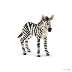 Schleich 14811 Zebra źrebię (SLH 14811) - 2