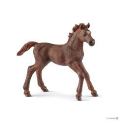 Schleich 13857 Źrebię pełnej krwi angielskiej (SLH 13857) - 2