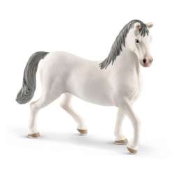 Schleich 13887 Ogier Lipizzaner (SLH 13887) - 2