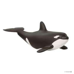 Schleich 14836 Orka młoda (SLH 14836) - 2