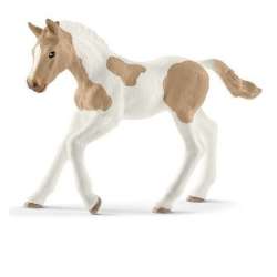 Schleich 13886 źrebię Pinto (GXP-672733) - 1