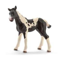 Schleich 17084 Źrebię pinto  (13803) (SLH 17084) - 2