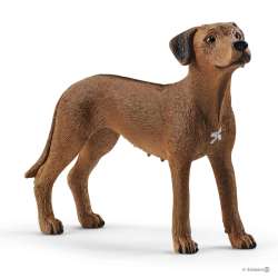 Schleich 13895 Rhodesian Ridgeback (SLH 13895) - 1