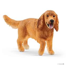 Schleich 13896 angielski Cocker Spaniel (SLH 13896) - 1