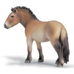 SCHLEICH KOŃ PRZEWALSKIEGO (13620) - 1