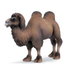 SCHLEICH 14348 WIELBŁĄD DWUGARBNY (GXP-507116) - 1