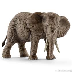Schleich samica słonia afrykańskiego (14761) - 1